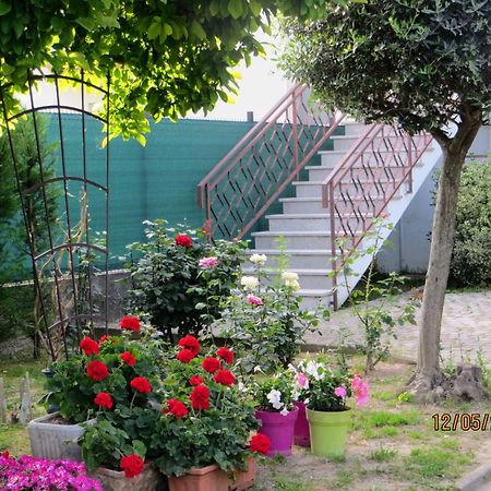 Terzo d' Aquileia 5 Palme B&B 외부 사진