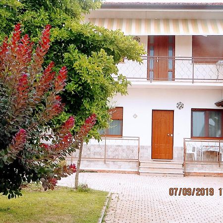 Terzo d' Aquileia 5 Palme B&B 외부 사진