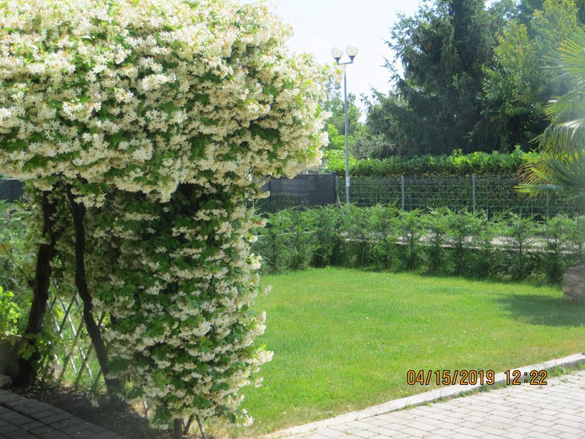 Terzo d' Aquileia 5 Palme B&B 외부 사진