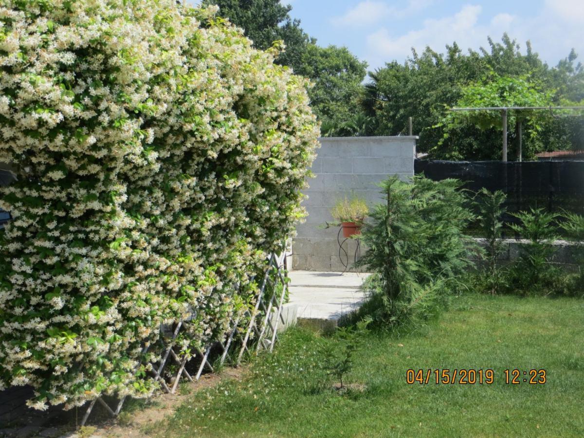 Terzo d' Aquileia 5 Palme B&B 외부 사진