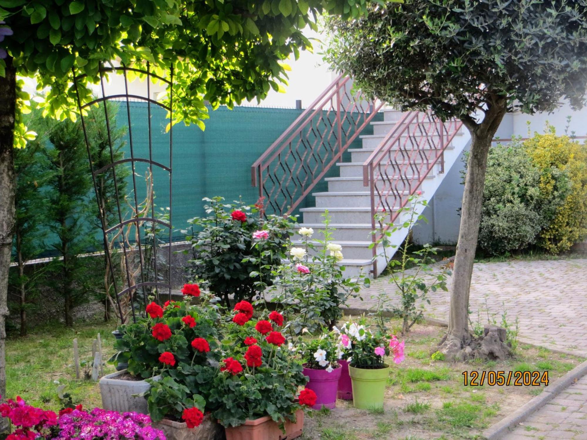 Terzo d' Aquileia 5 Palme B&B 외부 사진