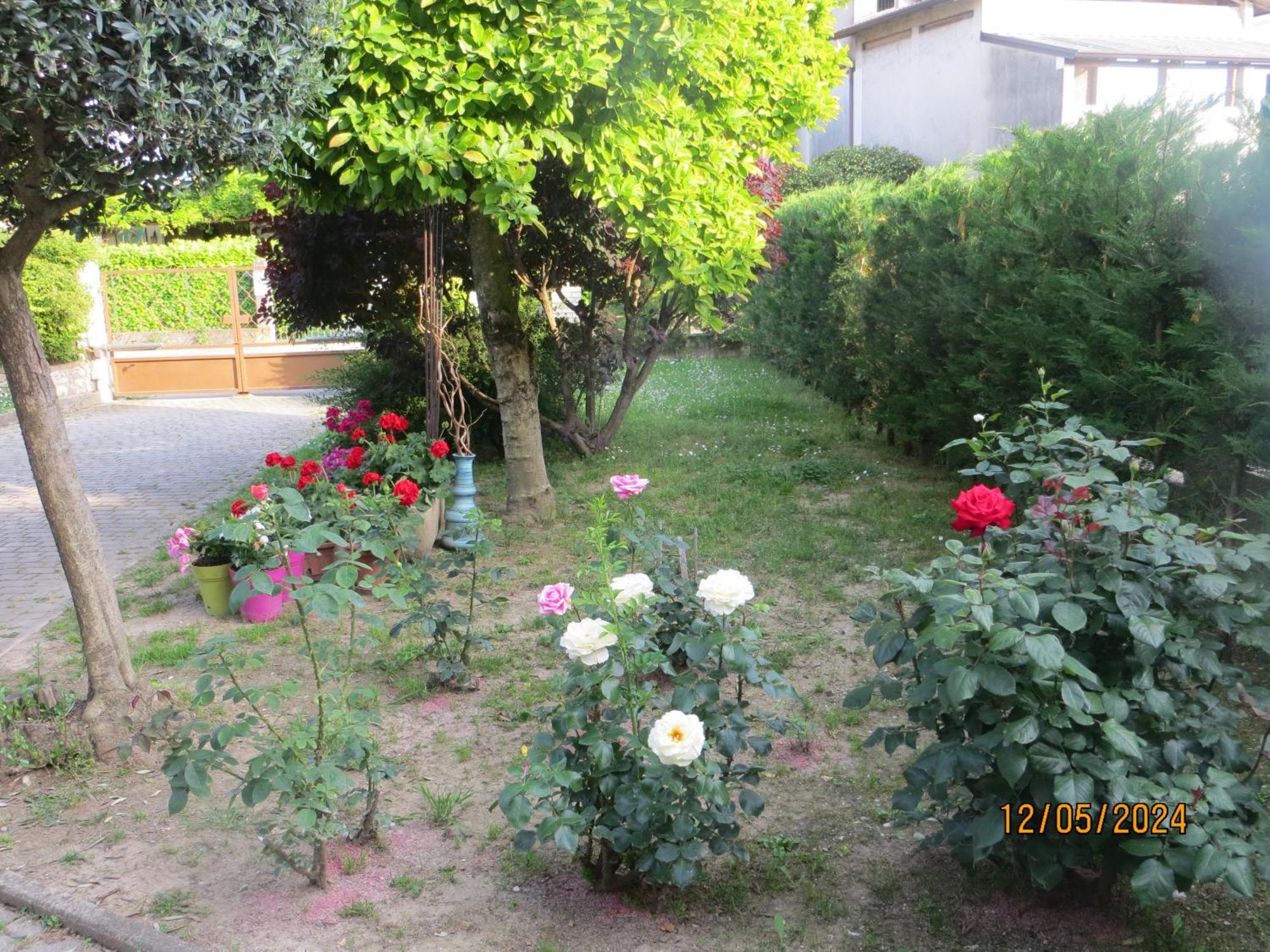Terzo d' Aquileia 5 Palme B&B 외부 사진
