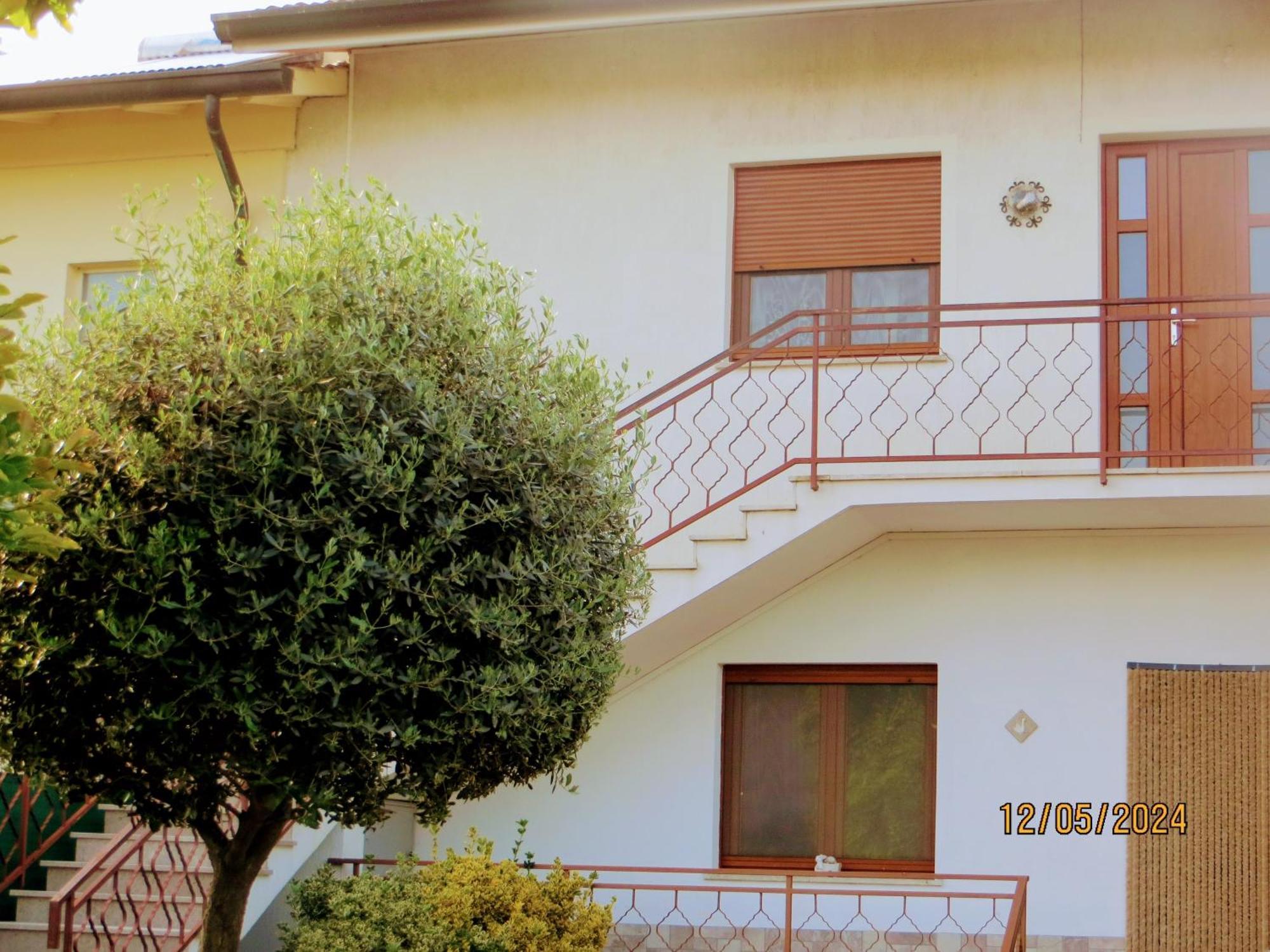 Terzo d' Aquileia 5 Palme B&B 외부 사진