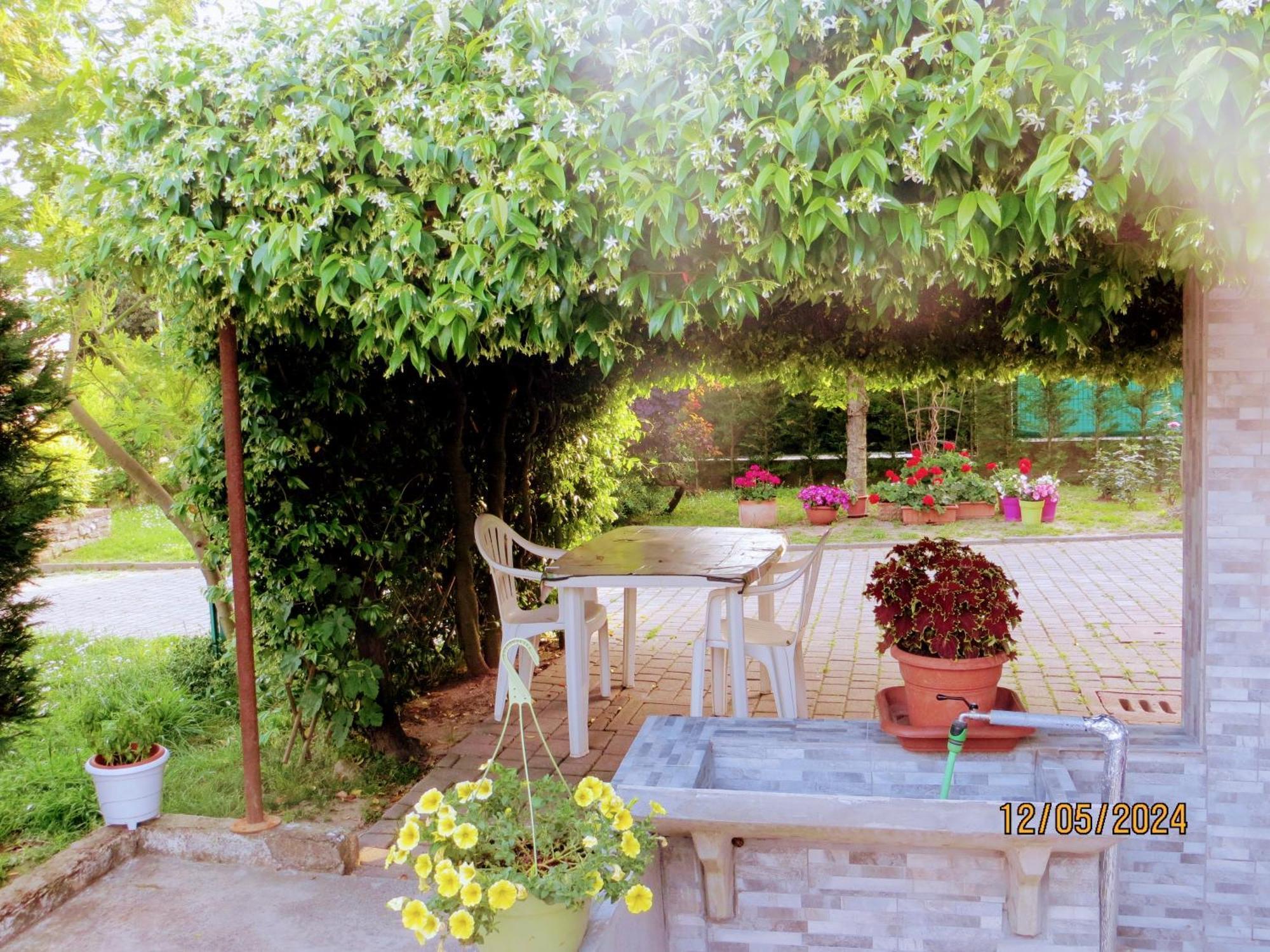 Terzo d' Aquileia 5 Palme B&B 외부 사진